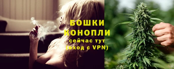 СК Володарск
