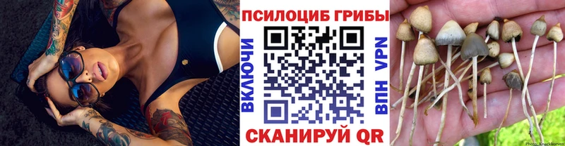 Купить  Горячеводский  Псилоцибиновые грибы GOLDEN TEACHER 
