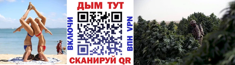 Бошки Шишки Bruce Banner  Купить  Горячеводский 